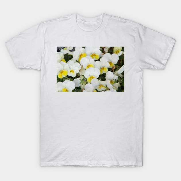 White Pansies After Rain T-Shirt by ButterflyInTheAttic